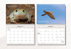 Australian Wildlife Conservancy's 2027 Wall Calendar