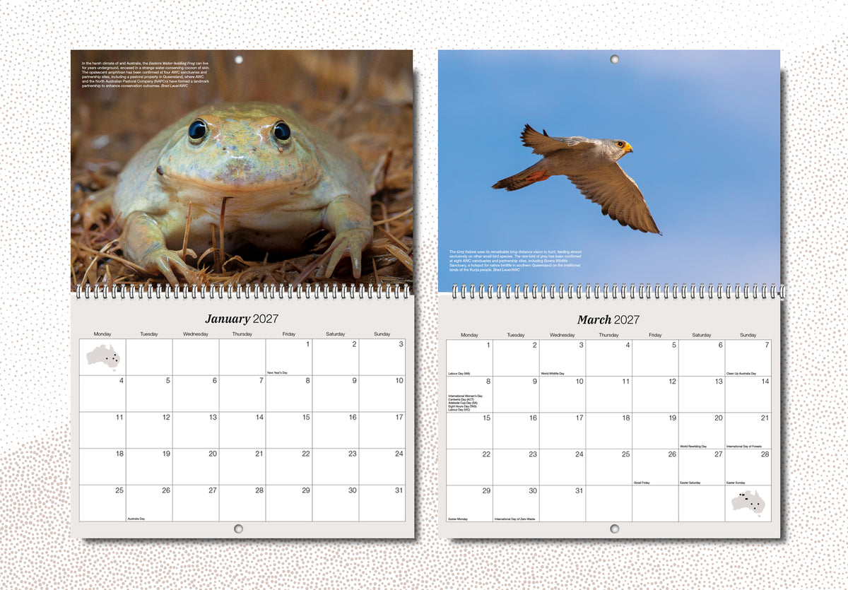 Australian Wildlife Conservancy's 2027 Wall Calendar