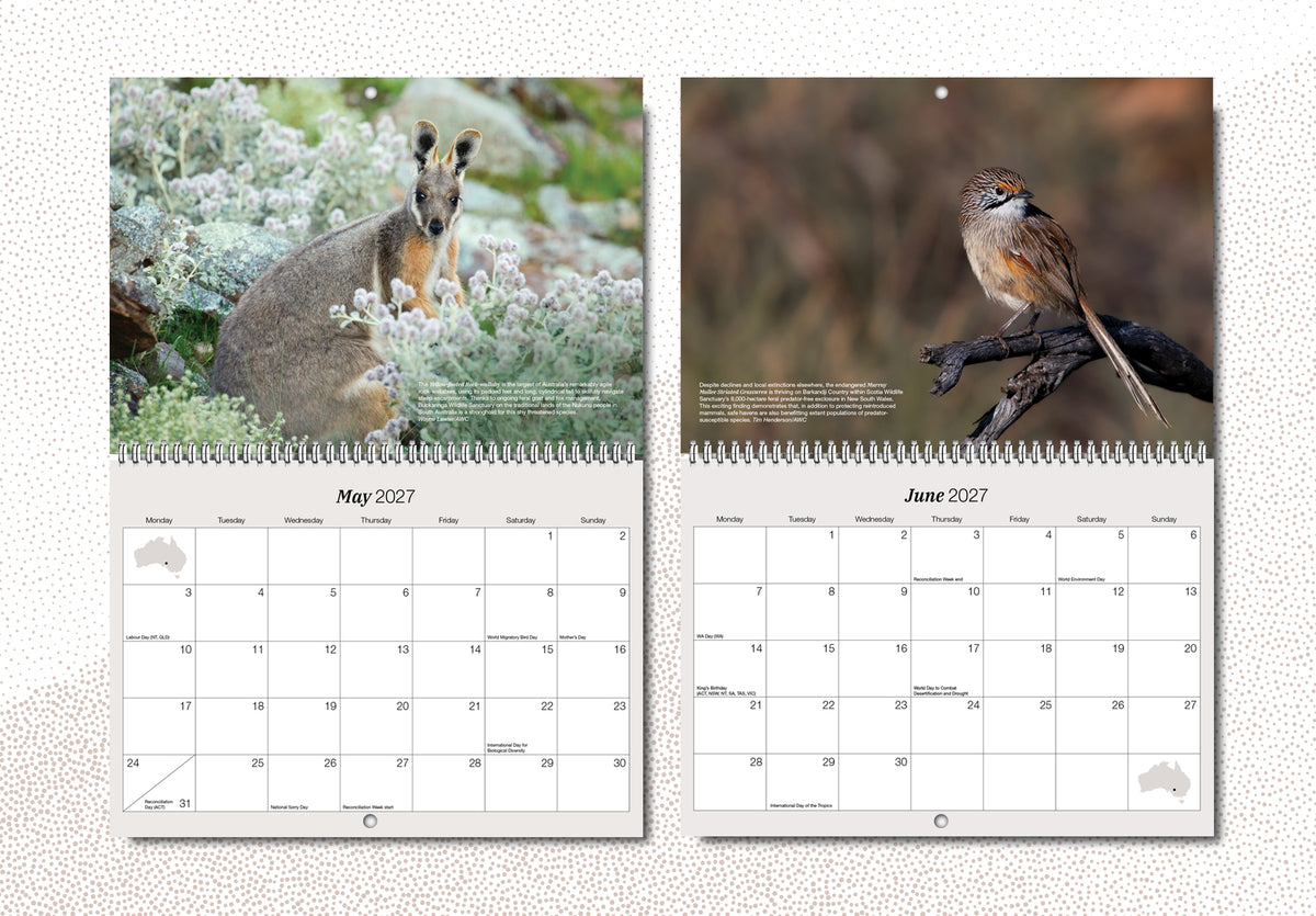 Australian Wildlife Conservancy's 2027 Wall Calendar
