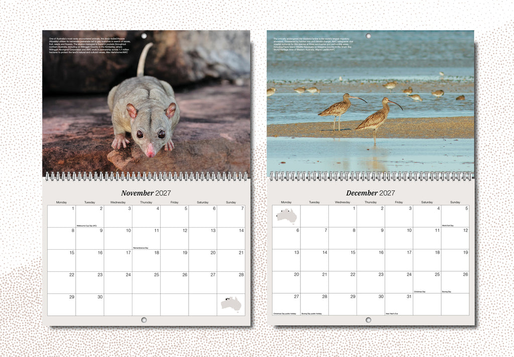Australian Wildlife Conservancy's 2027 Wall Calendar