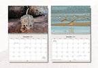 Australian Wildlife Conservancy's 2027 Wall Calendar