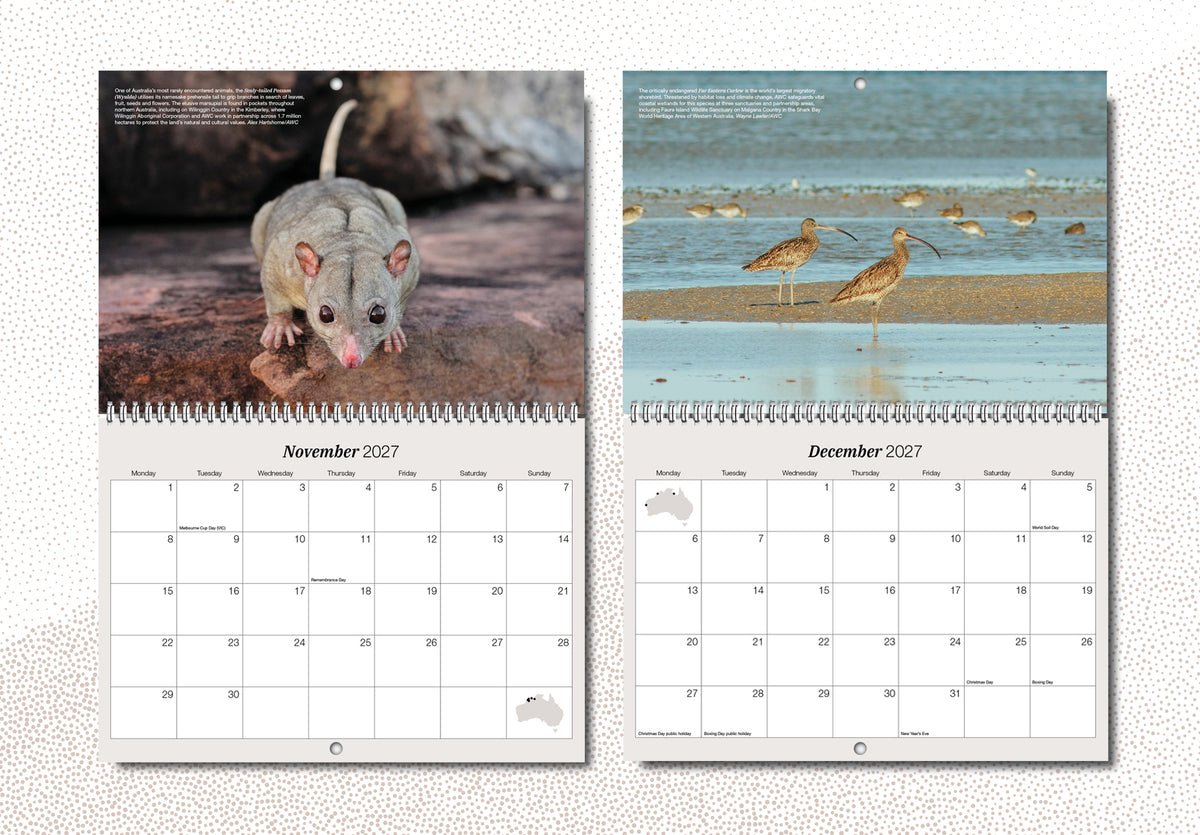 Australian Wildlife Conservancy's 2027 Wall Calendar