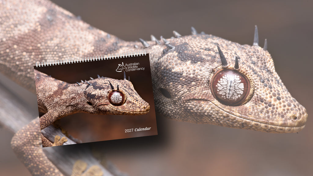 Australian Wildlife Conservancy's 2027 Wall Calendar